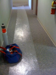 carpet-mask-05-01-09-2